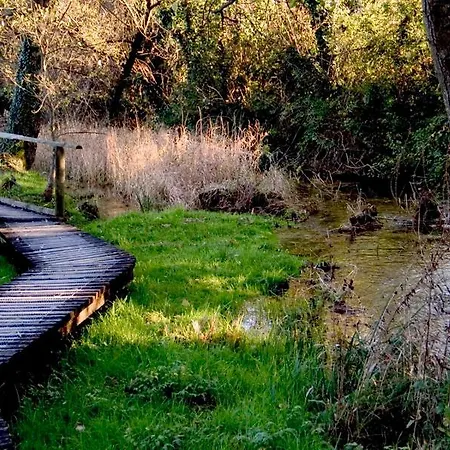 Nifty Intera Con Piscina Relax, Idromassaggio E Sauna Bed & Breakfast